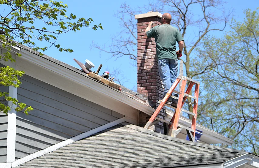 Chimney & Fireplace Inspections Services in Duncanville, TX